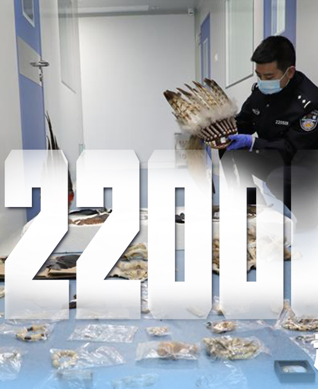 抗疫有&ldquo;法&rdquo;，就是這么給力！