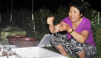 最美基層干部:&ldquo;外來(lái)媳婦&rdquo;譜寫(xiě)女村官傳奇