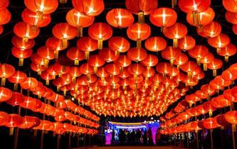 賞花燈 度春節(jié)