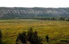 塞上榆林實(shí)現(xiàn)&ldquo;綠色轉(zhuǎn)身&rdquo;