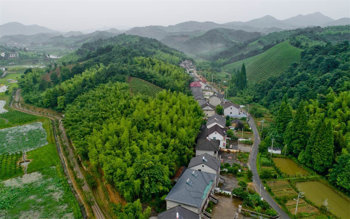 從2003年起，浙江省開展了&ldquo;千村示范、萬村整治&rdquo;工程