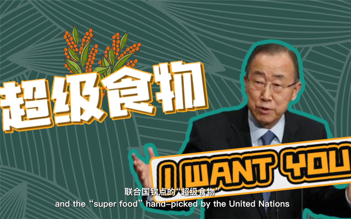 聯(lián)合國將藜麥視為抗擊饑餓的&ldquo;超級食物&rdquo;，大力推廣