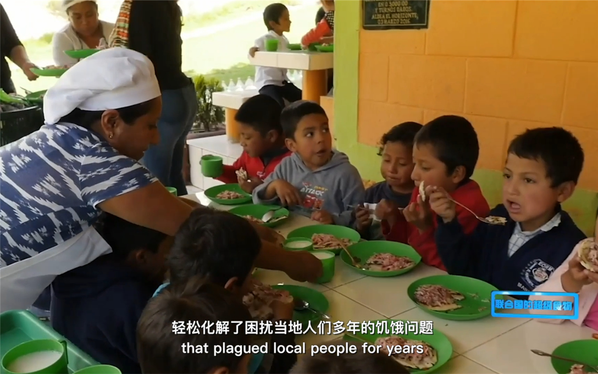 藜麥的蹤跡遍布北美、歐洲、亞洲和非洲多地