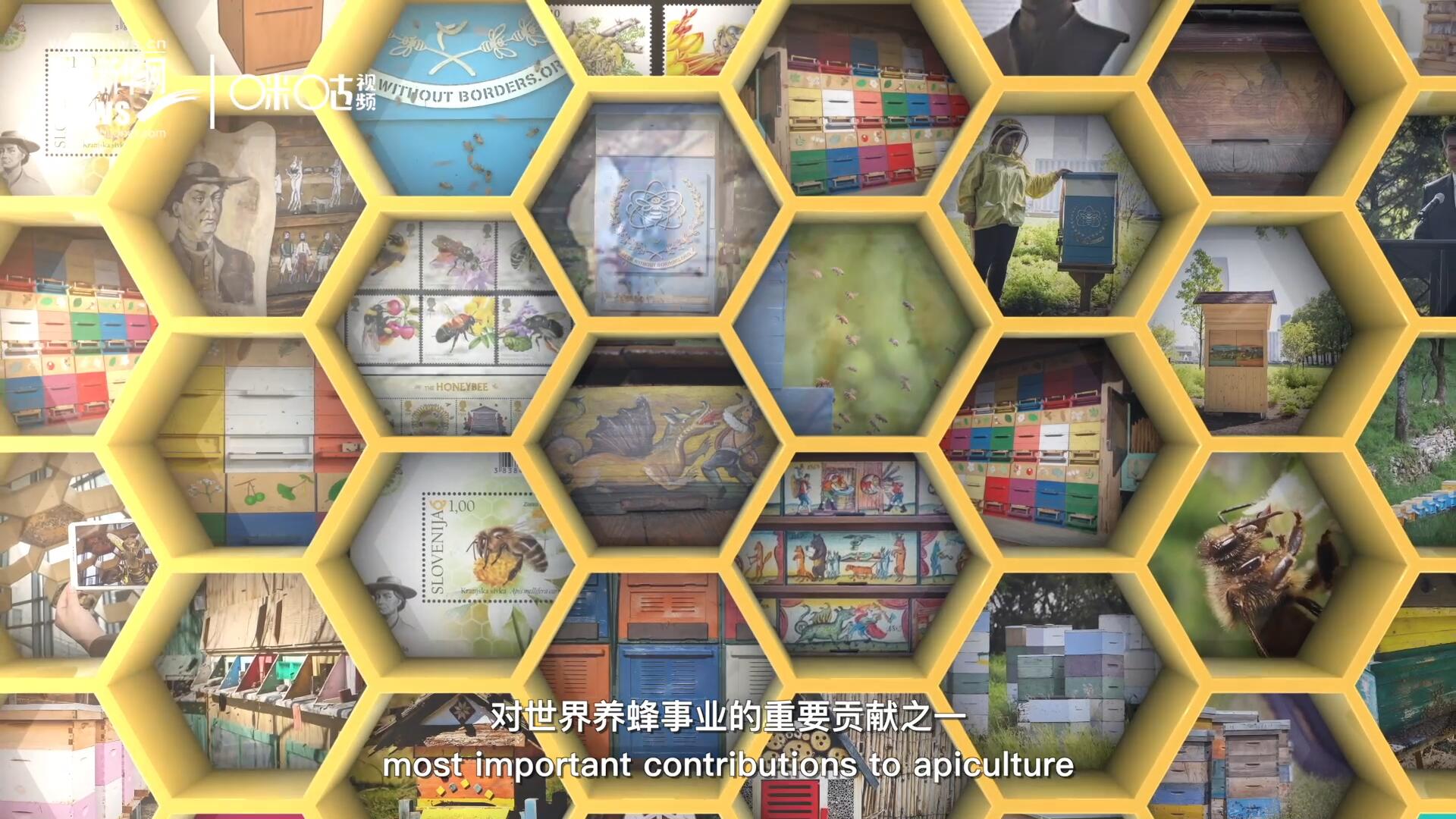 他開始用色彩豐富的畫作來裝飾蜂巢的前板，幫助不同蜂群按照習性和顏色順利找到自己的蜂巢