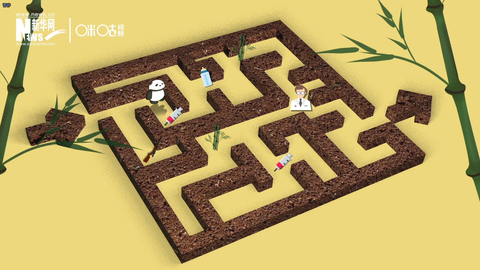 2016年，國際自然保護聯(lián)盟將大熊貓的物種瀕危等級，從&ldquo;瀕危&rdquo;下降到了&ldquo;易危&rdquo;。