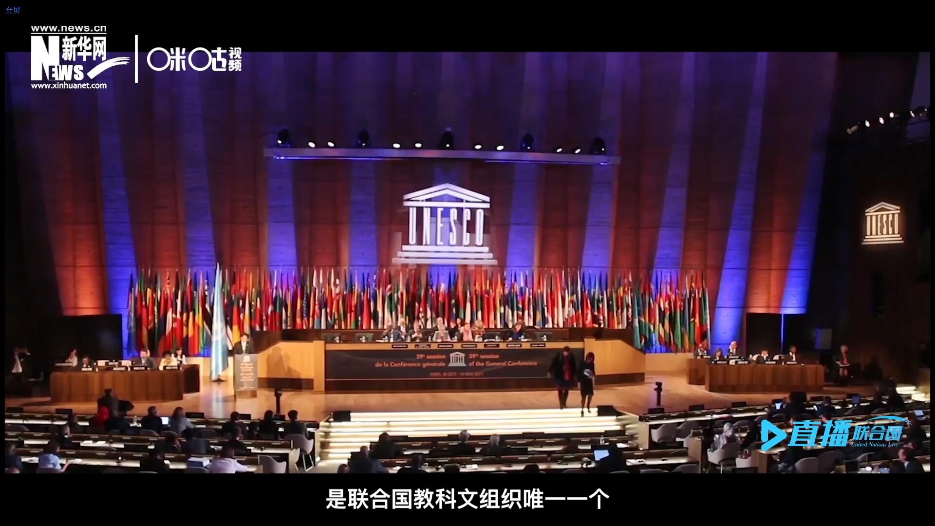 民間藝術(shù)國際組織成立于1979年，是聯(lián)合國教科文組織唯一一個以保護(hù)和挖掘國際民間藝術(shù)為工作中心的國際機構(gòu)。