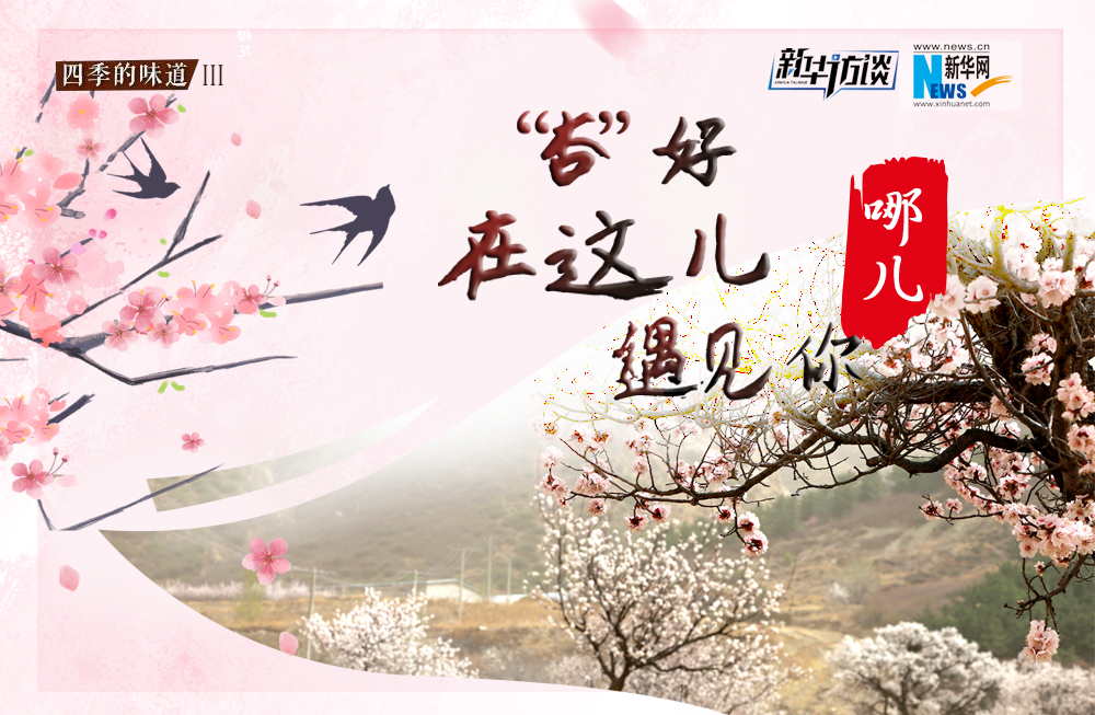 哪兒？&ldquo;杏&rdquo;好在這兒遇見你！