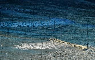 福建霞浦：光影灘涂 旅攝&ldquo;圣地&rdquo;