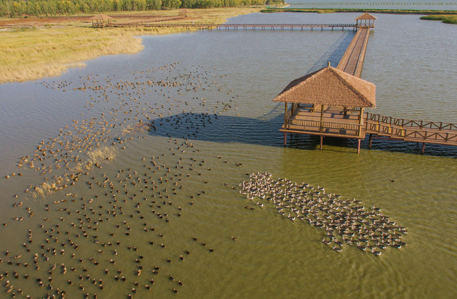 新華微評(píng)&middot;學(xué)習(xí)路上：生態(tài)興，百業(yè)旺