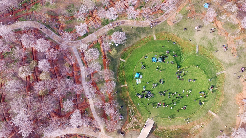 生態(tài)中國&middot;空中長卷