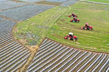忙碌的新農(nóng)人&mdash;&mdash;祖國(guó)各地春耕掃描