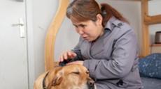 &ldquo;有你在身旁，真好&rdquo;