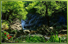 奇幽美險(xiǎn) 中坡山森林公園