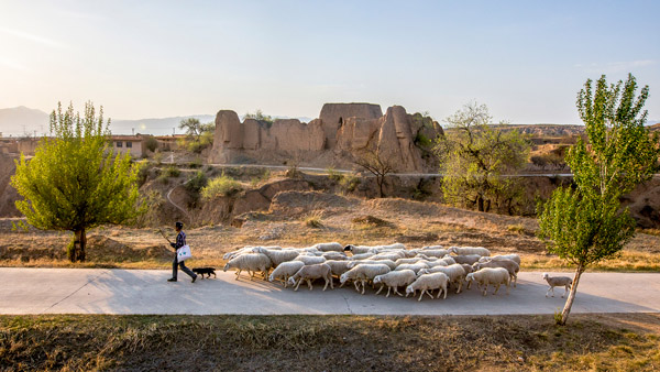 追夢足跡｜上馬圈：鐵馬冰河，黃土斑駁