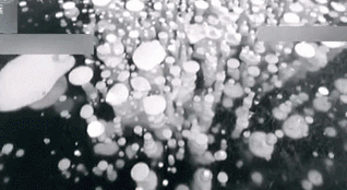 夢幻！日本北海道阿寒湖現(xiàn)&ldquo;冰泡&rdquo;&ldquo;霜花&rdquo;奇景