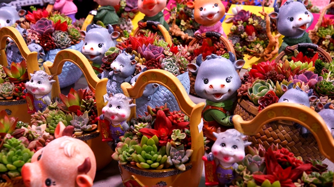 就地過年 你準(zhǔn)備好了嗎？