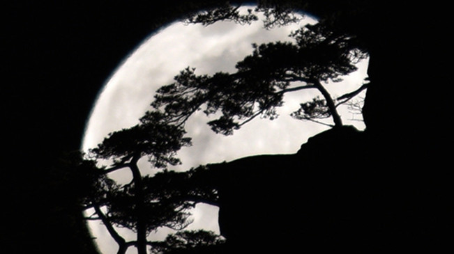 太驚艷！明月奇松 夢幻同框