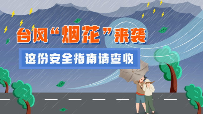 MG動畫：臺風(fēng)&ldquo;煙花&rdquo;來襲，這份安全指南請查收