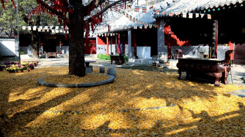 臨沂小伙回老家，爹媽往后備箱里塞活豬