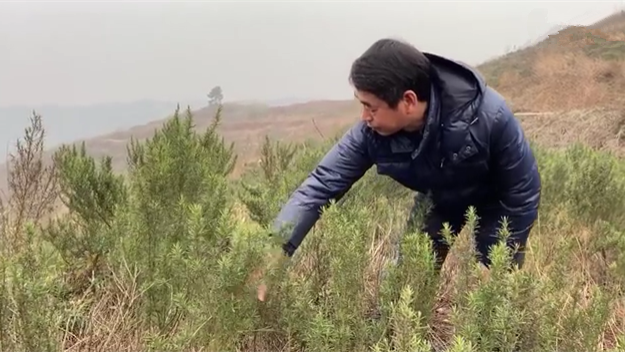 新春走基層｜脫貧后，駐村扶貧隊長在干啥？