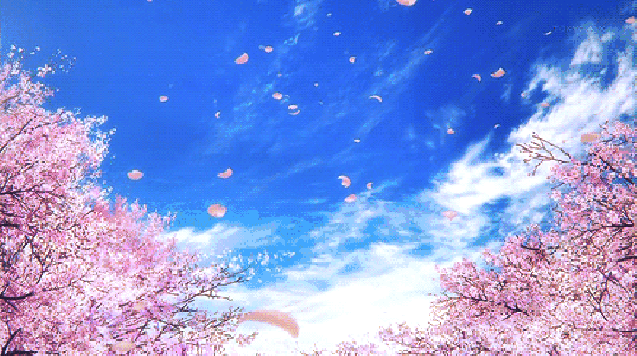 寧波這個地方早櫻花開成海，滿足你對春天的所有想象