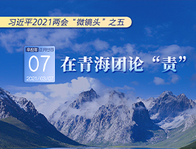 習(xí)近平2021兩會&ldquo;微鏡頭&rdquo;之五：3月7日 在青海團論&ldquo;責&rdquo;