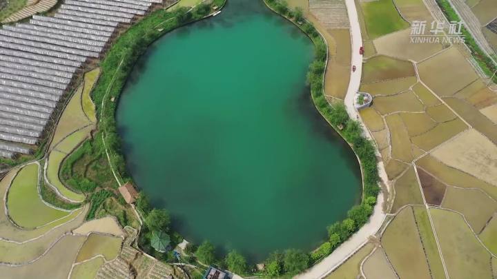 稻田新插，這里的山村美翻了！