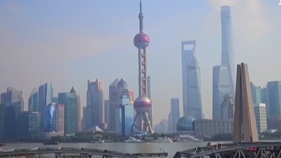 上海啟動&ldquo;數(shù)字伙伴計劃&rdquo; 助老年人跨越數(shù)字鴻溝