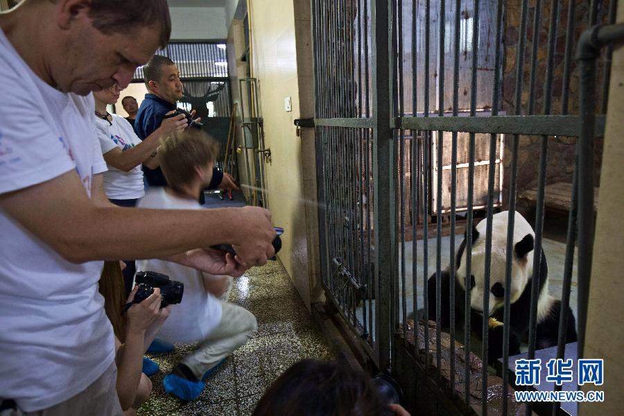 （晚報）（2）&ldquo;歐洲熊貓粉絲四川探親之旅&rdquo;自駕團抵達成都