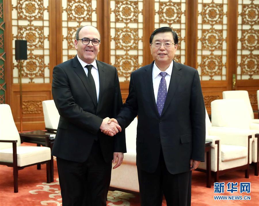 12月20日，全國人大常委會委員長張德江在北京人民大會堂會見摩洛哥參議長本希馬。新華社記者劉衛(wèi)兵攝