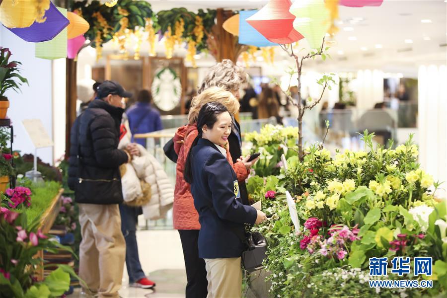 （國(guó)際）（6）紐約：&ldquo;春日童話&rdquo;花展亮相梅西百貨