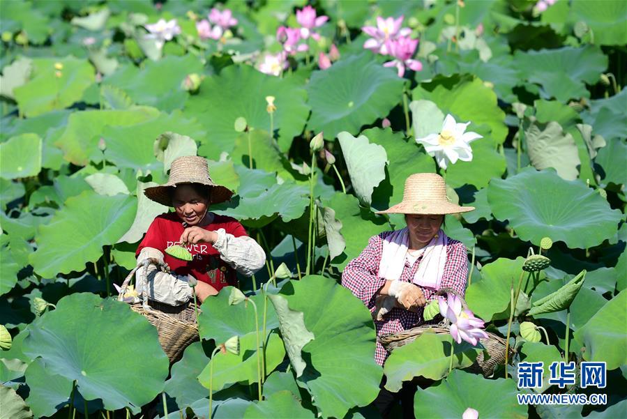 （新華全媒頭條&middot;圖文互動）（5）高溫&ldquo;烤&rdquo;驗四大洲 熱&ldquo;火&rdquo;還要燒多久