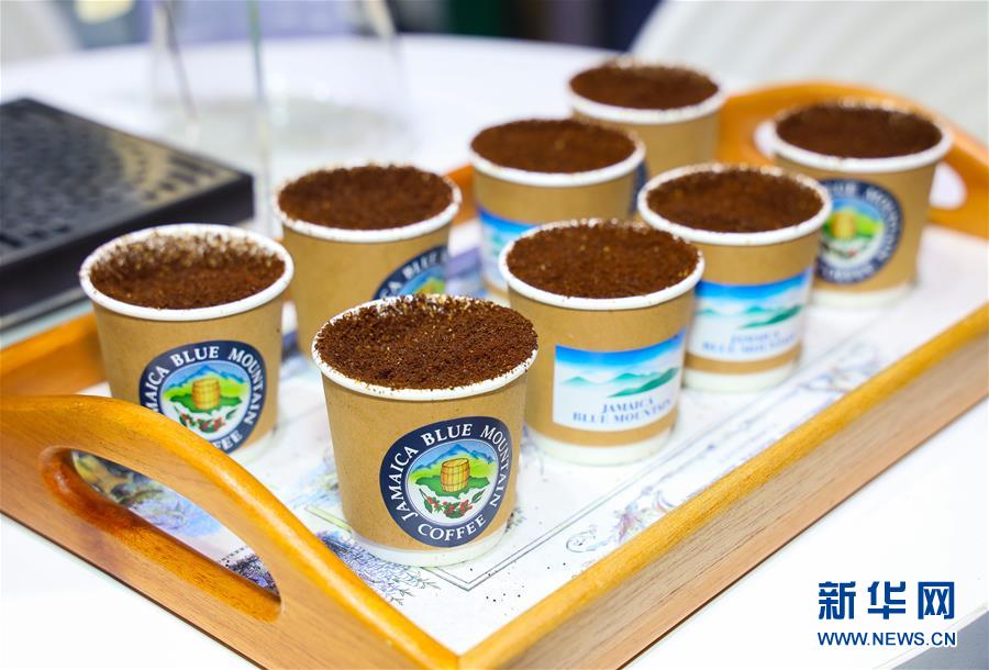 （新華全媒頭條&middot;圖文互動）（15）人間正道 浩蕩前行&mdash;&mdash;習(xí)近平主席出席首屆中國國際進(jìn)口博覽會紀(jì)實(shí)