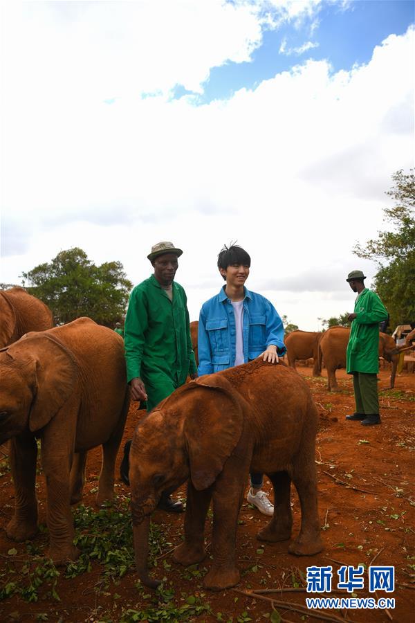 (國(guó)際·圖文互動(dòng))(3)專訪:環(huán)保要以身作則 從身邊小事做起——訪聯(lián)合國(guó)環(huán)境署親善大使王俊凱