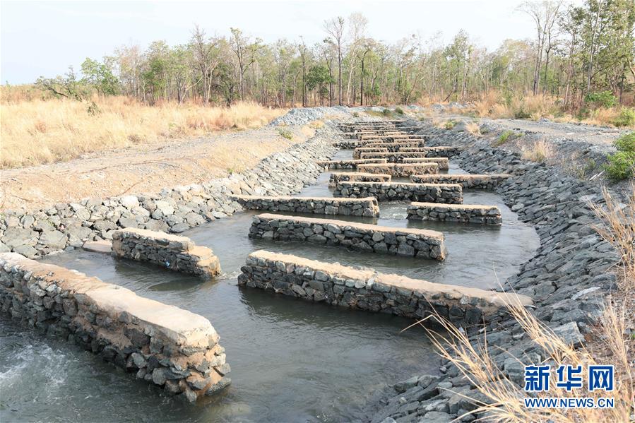 （國(guó)際&middot;&ldquo;一帶一路&rdquo;高峰論壇&middot;圖文互動(dòng)）（2）通訊：為魚(yú)兒保障回家的路&mdash;&mdash;中國(guó)水電工程助力柬埔寨綠色發(fā)展