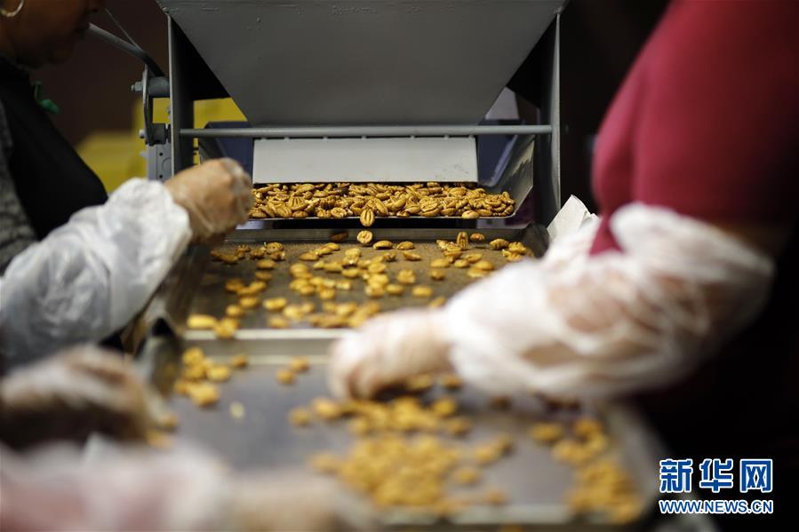 （國際&middot;圖文互動）（8）通訊：期待美中盡早達(dá)成貿(mào)易協(xié)議&mdash;&mdash;颶風(fēng)和關(guān)稅夾擊下的美國山核桃種植戶盼重回中國市場