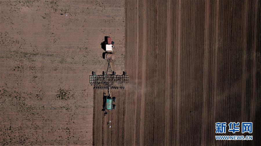 (國際)(3)世界糧食日:維護(hù)全球糧食安全 世界各國休戚與共