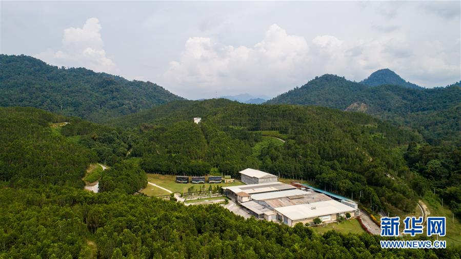 (第三屆進(jìn)博會·圖文互動)(1)專訪:進(jìn)博會提供了一個共享中國發(fā)展機(jī)遇的平臺