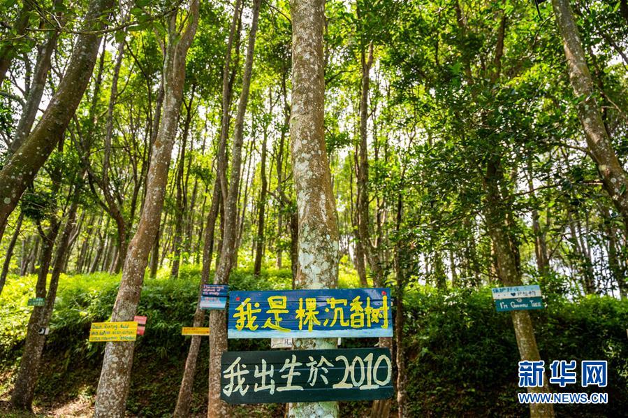 (第三屆進(jìn)博會·圖文互動)(10)專訪:進(jìn)博會提供了一個共享中國發(fā)展機(jī)遇的平臺