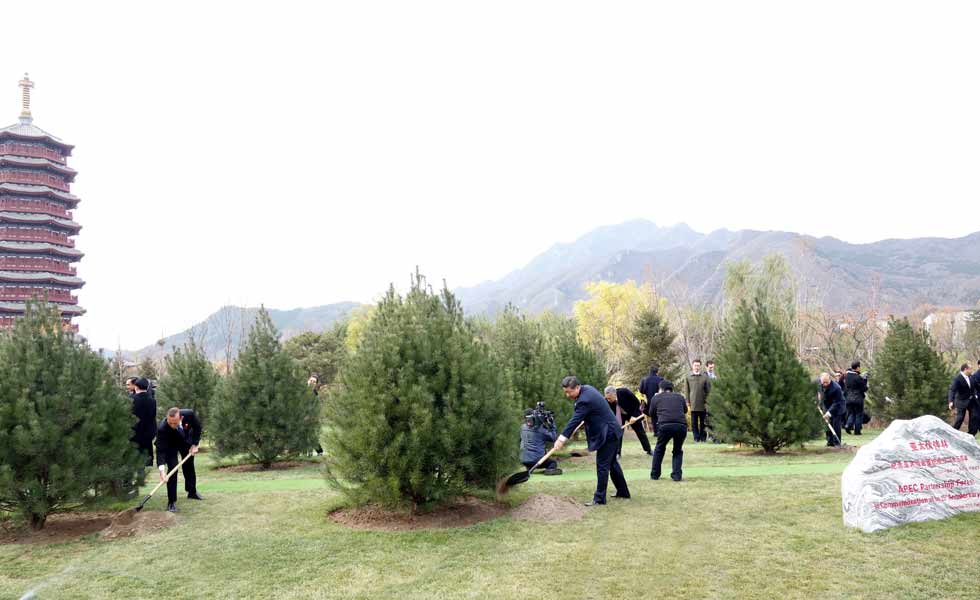 出席亞太經(jīng)合組織領導人非正式會議的各成員經(jīng)濟體領導人或代表共植亞太伙伴林