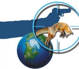 中國(guó)全球&ldquo;獵狐&rdquo;戰(zhàn)果豐碩！