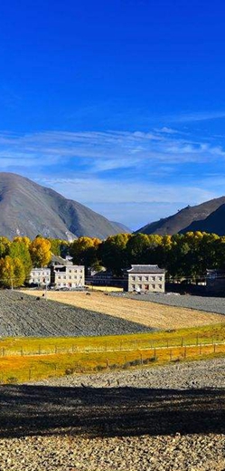 說走就走！大美絲路之旅不再遙遠 