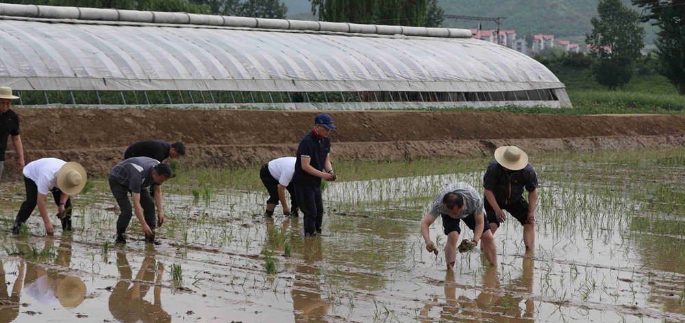 朝中友好宅庵合作農(nóng)場(chǎng)訪問記