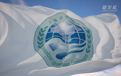 你好，上合！