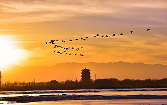 你想看的風(fēng)景，這里都有