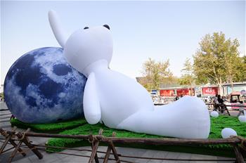 &ldquo;玉兔&rdquo;倚&ldquo;明月&rdquo;